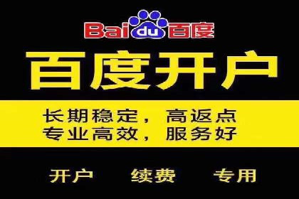 百度推广服务费案例：行业领军企业推广经验分享